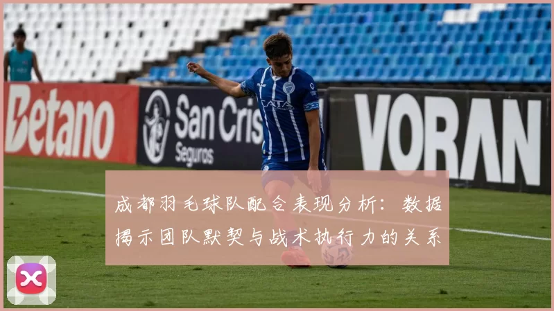 成都羽毛球队配合表现分析：数据揭示团队默契与战术执行力的关系