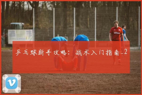乒乓球新手攻略：战术入门指南_2