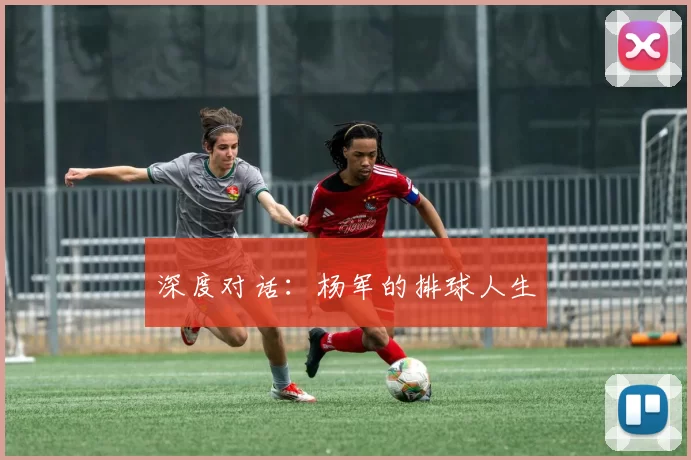 深度对话：杨军的排球人生