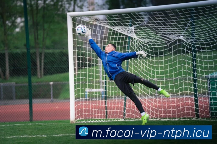 App Interface Preview